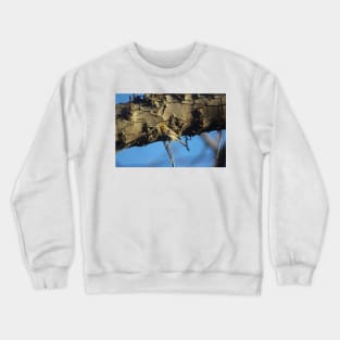 Little Verdin 2 Crewneck Sweatshirt